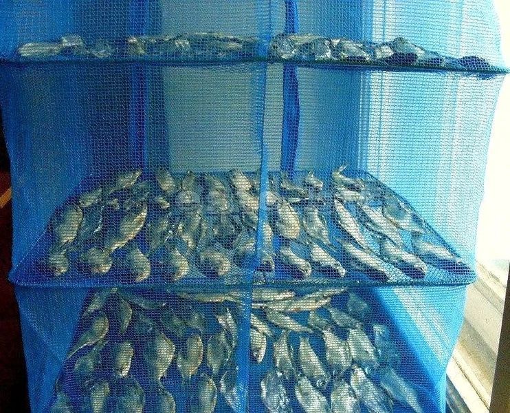 Сетка для сушки рыбы грибов овощей и фруктов сушилка на воздухе 1224638992 фото