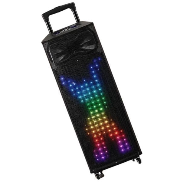 Автономная акустическая система караоке колонка TMG T8 Pro (2MIC+MP3+USB+FM+BT) 228-8 фото