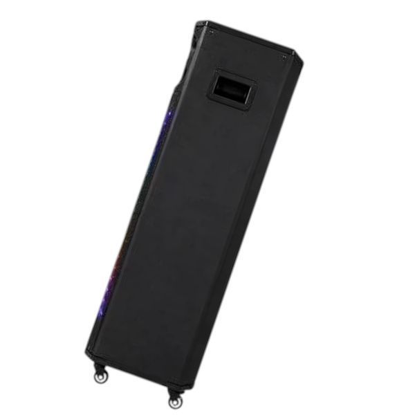 Автономная акустическая система караоке колонка TMG T8 Pro (2MIC+MP3+USB+FM+BT) 228-8 фото