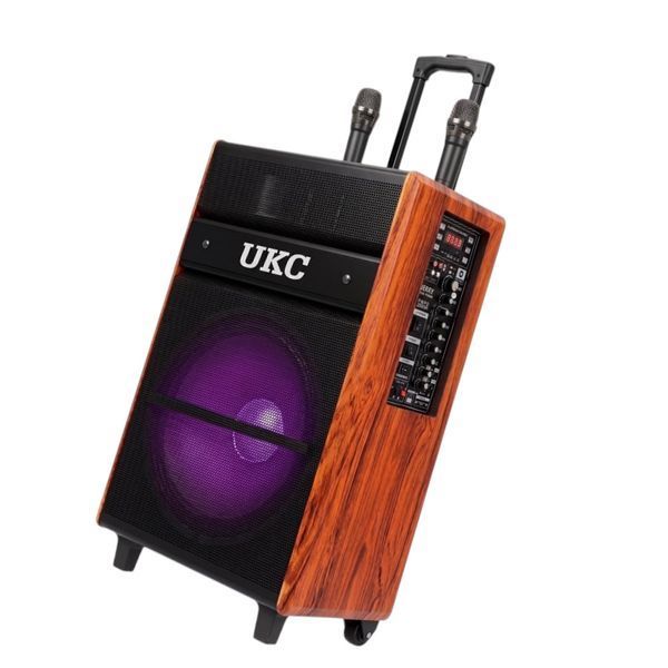 Автономная акустическая система караоке колонка TMG Live 15 (2MIC+USB+MP3+BT) 2225-15А фото