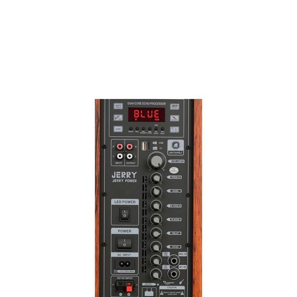 Автономная акустическая система караоке колонка TMG Live 15 (2MIC+USB+MP3+BT) 2225-15А фото