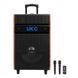 Автономная акустическая система караоке колонка TMG Live 15 (2MIC+USB+MP3+BT) 2225-15А фото 2