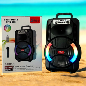 Беспроводная караоке колонка с микрофоном, пультом и RGB-подсветкой Sing-e ZQS8166W 2200-8166 фото