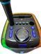 Колонка акумуляторна ROVOLT D-2806 з радіомікрофоном (USB/BT/FM/TWS) 222122-2806 фото 3
