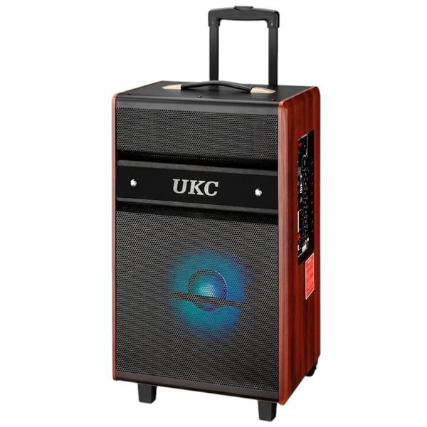 Автономная акустическая система караоке колонка TMG Live 12 (2MIC+USB+FM+BT) 22212-12 фото