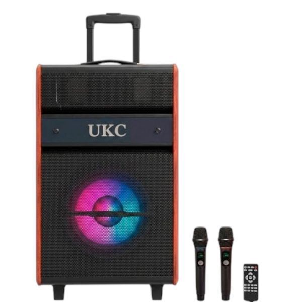 Автономная акустическая система караоке колонка TMG Live 12 (2MIC+USB+FM+BT) 22212-12 фото