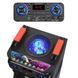 Музыкальна колонка большая на аккумуляторе с 2-ма радио микрофонами с USB/FM/Bluetooth NDR 1100 1000-1100 фото 4