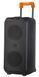 Портативная Bluetooth колонка ZXX 1095A 8' 200W с подсветкой и пультом 100-1096 фото 6