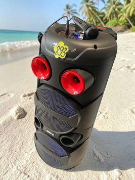 Акустична караоке переносна Bluetooth колонка Gedi-G GD-2893A з радіомікрофоном 2х8" 50 Вт&nbsp; 221-2893 фото