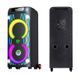 Акустическая переносная Bluetooth колонка Dipaoer DP-1022 с 2 радио микрофонами 2х10" 200 Вт FM, USB, AUX, RGB&nbsp; 2221-1022 фото 7