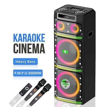 Акустическая переносная Bluetooth колонка Dipaoer DP-2136 с 2 радио микрофонами 2х12" 300 Вт FM, USB, AUX, RGB&nbsp; 2221-2136 фото