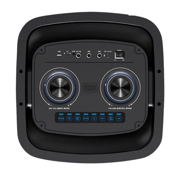 Переносная акустическая караоке система 160Вт с Bluetooth, RGB и 2 микрофонами, GD-2858 222-2858 фото