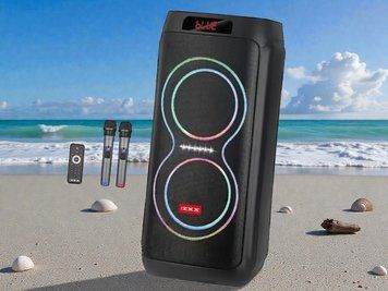 Акустическая переносная караоке колонка&nbsp;2x8" с пультом ДУ, LED подсветкой и&nbsp;2 микрофонами&nbsp;ZXX-5550 100 Вт 22250-5550 фото