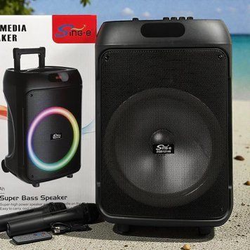 Портативная акустическая система караоке колонка с RGB-подсветкой и 2-мя микрофонами ZQS12148 50W 22212-148 фото