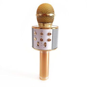 Беспроводной микрофон караоке bluetooth.FM/ WS 858 858 фото