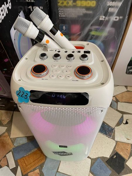 Акустична переносна караоке колонка Bluetooth колонка LT-2231 з двома радіомікрофонами 2*8"&nbsp; 3334-2231 фото